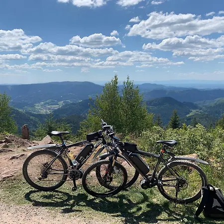 Schwarzwald Lejlighed
