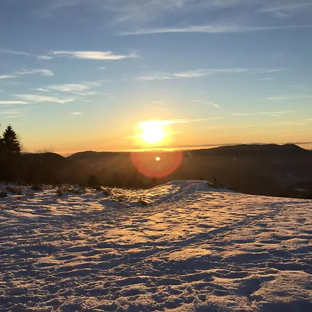 Schwarzwald Lejlighed *