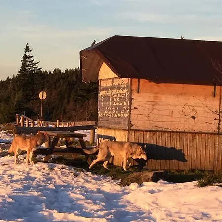 アパート Schwarzwald *