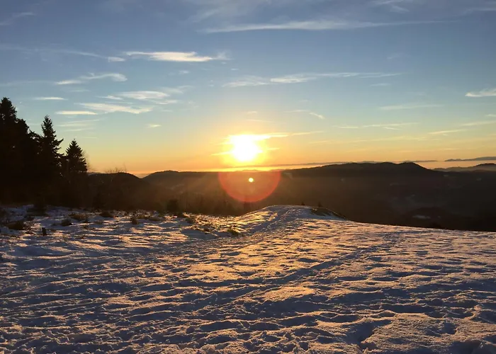 Schwarzwald شقة *