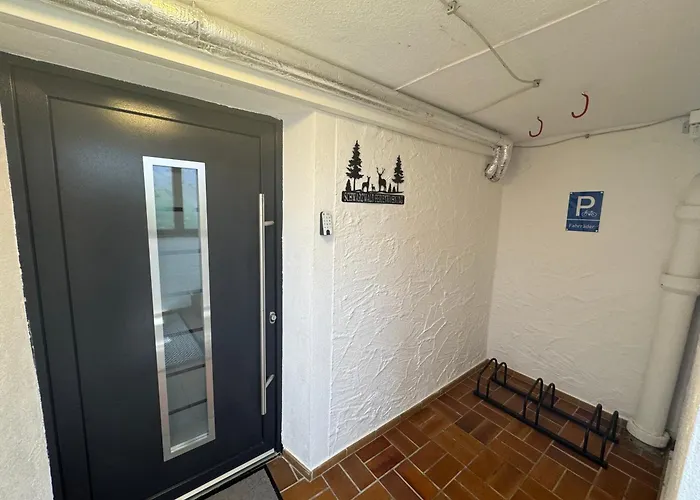 Schwarzwald فرودنستاد